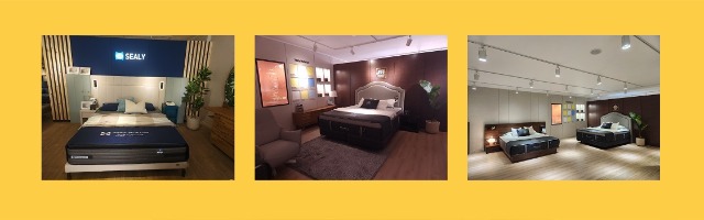sealy.jpg